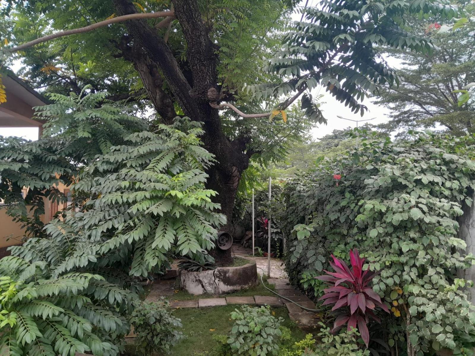 Casa De Ferias Appartement Sao Tome Buitenkant foto