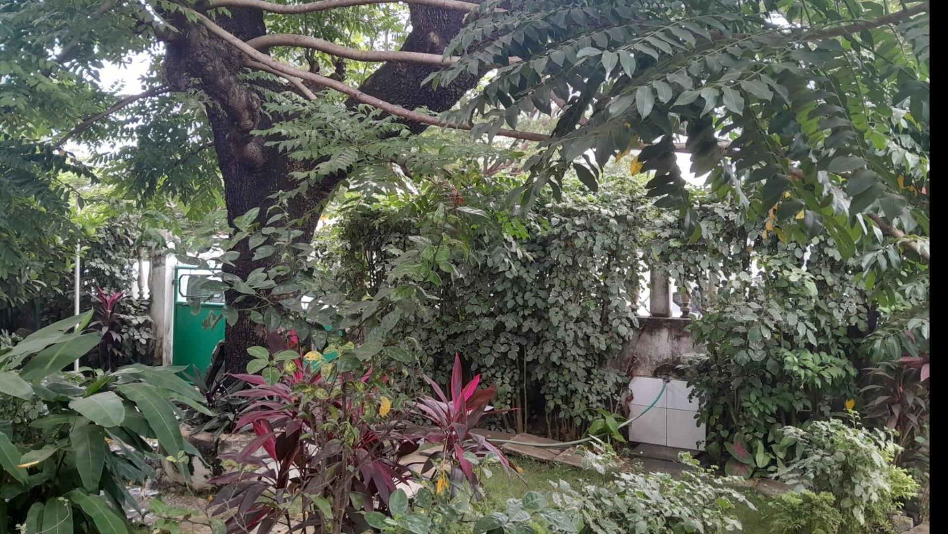 Casa De Ferias Appartement Sao Tome Buitenkant foto